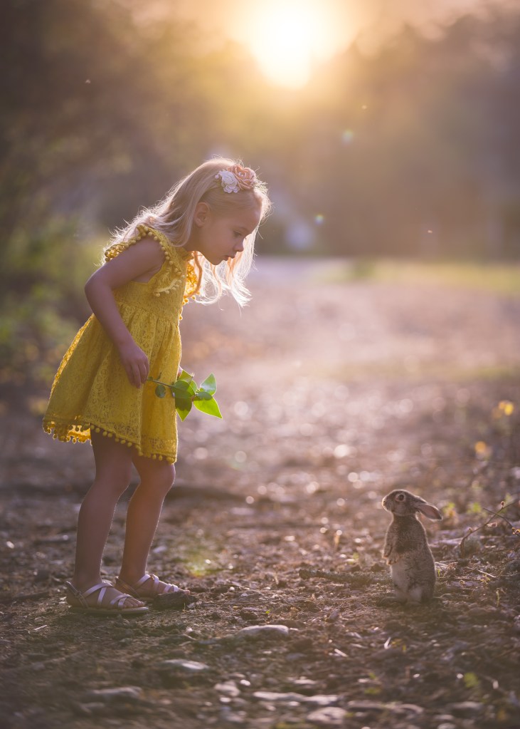 girl and rabbit meet at sunset
